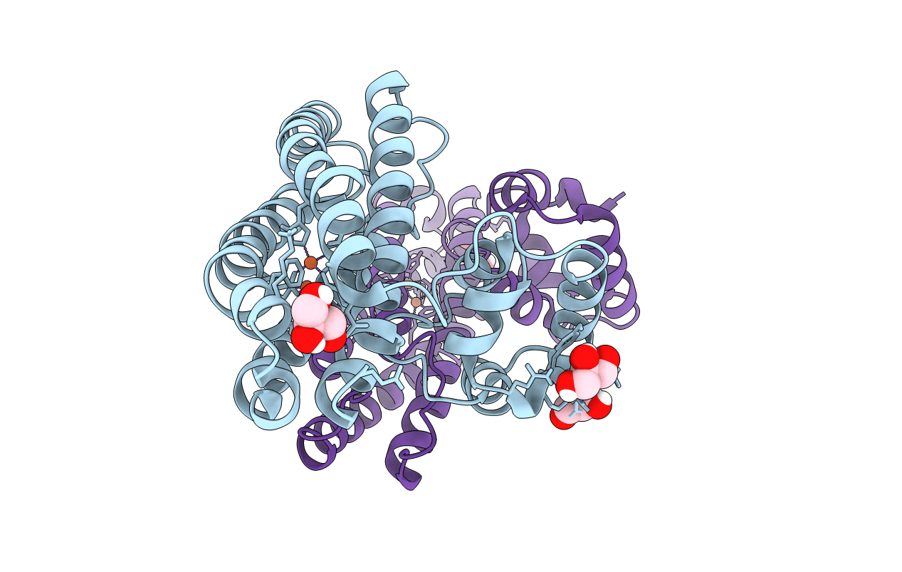 7BHC image