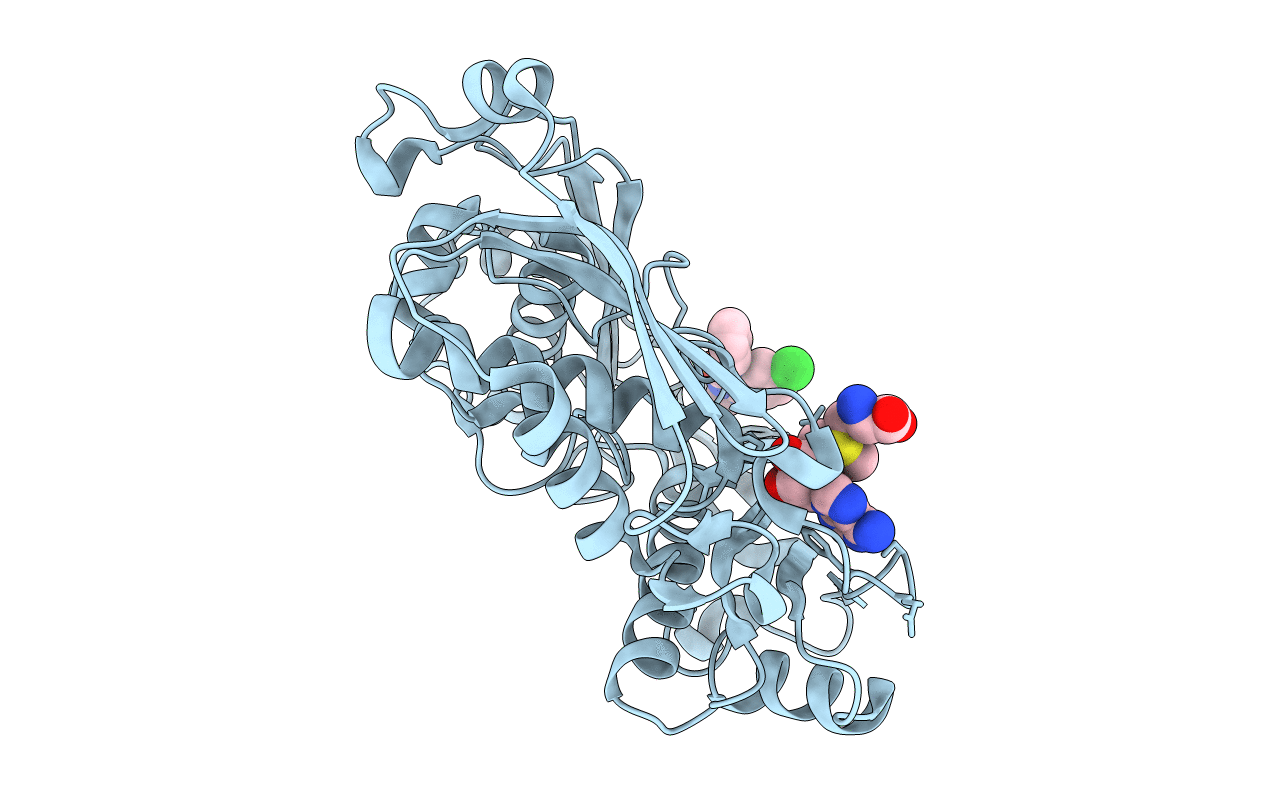 7BHV image