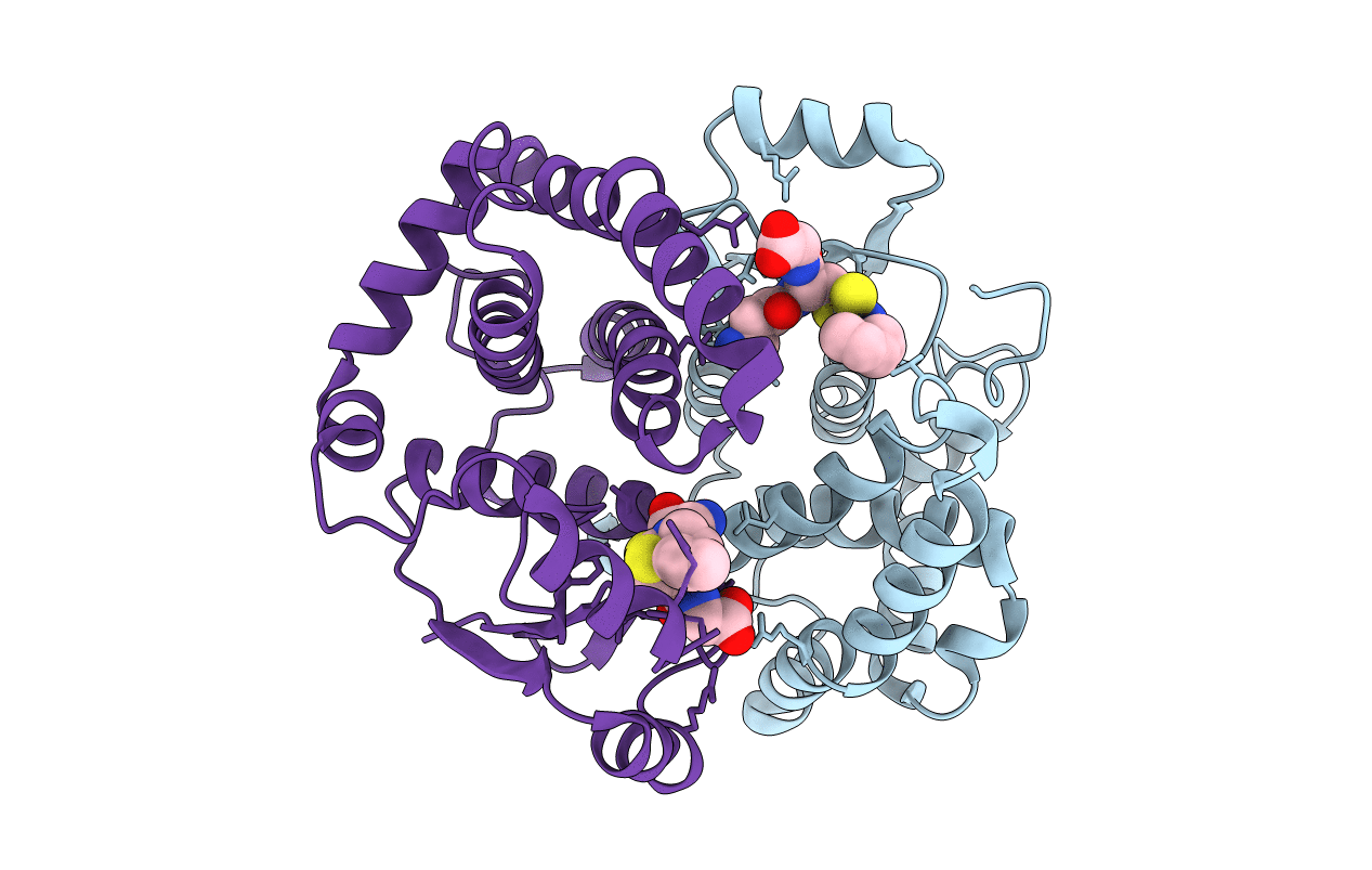 7BIB image