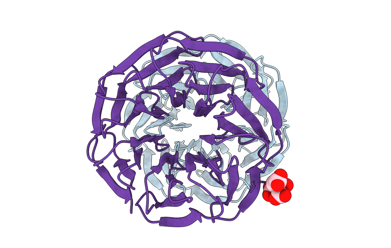 7BIE image
