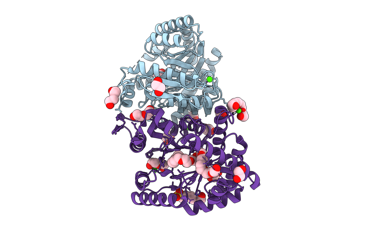 7BIP image