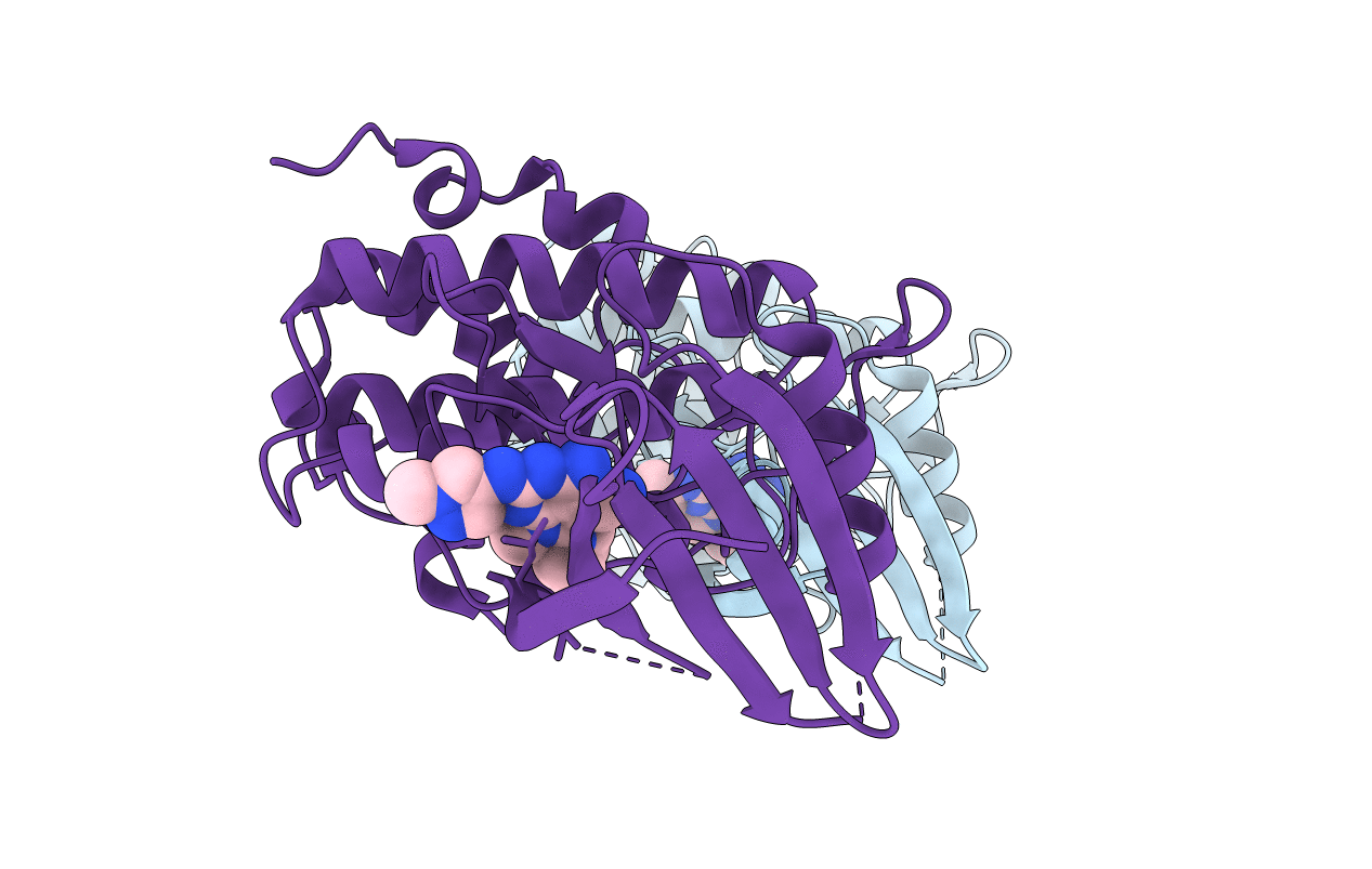 7BJX image