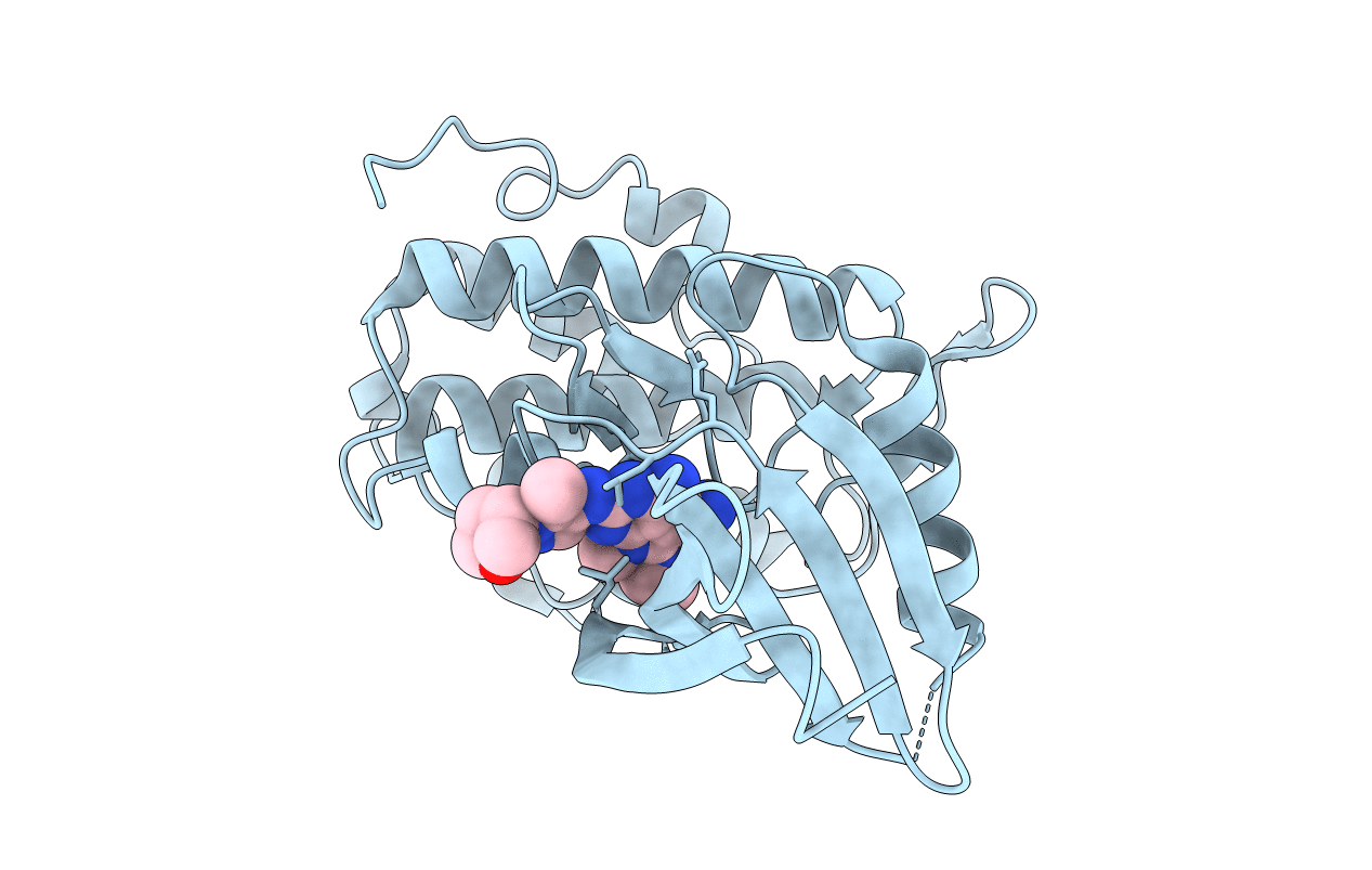 7bk3 image