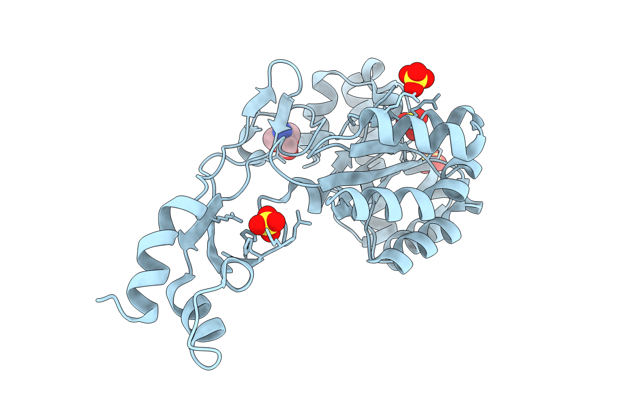 7BKF image