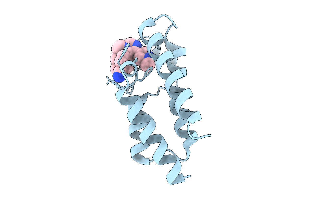 7BL8 image