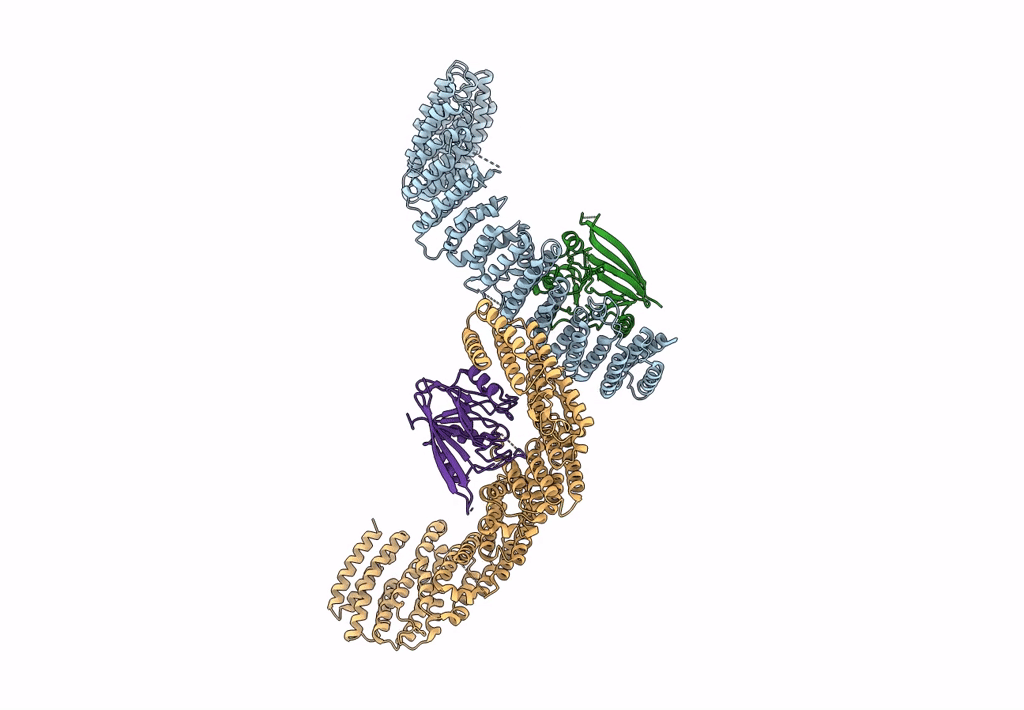 7BLP image