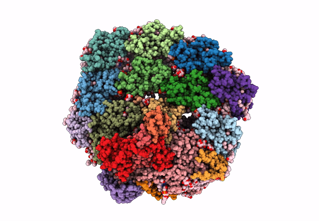 7BLX image