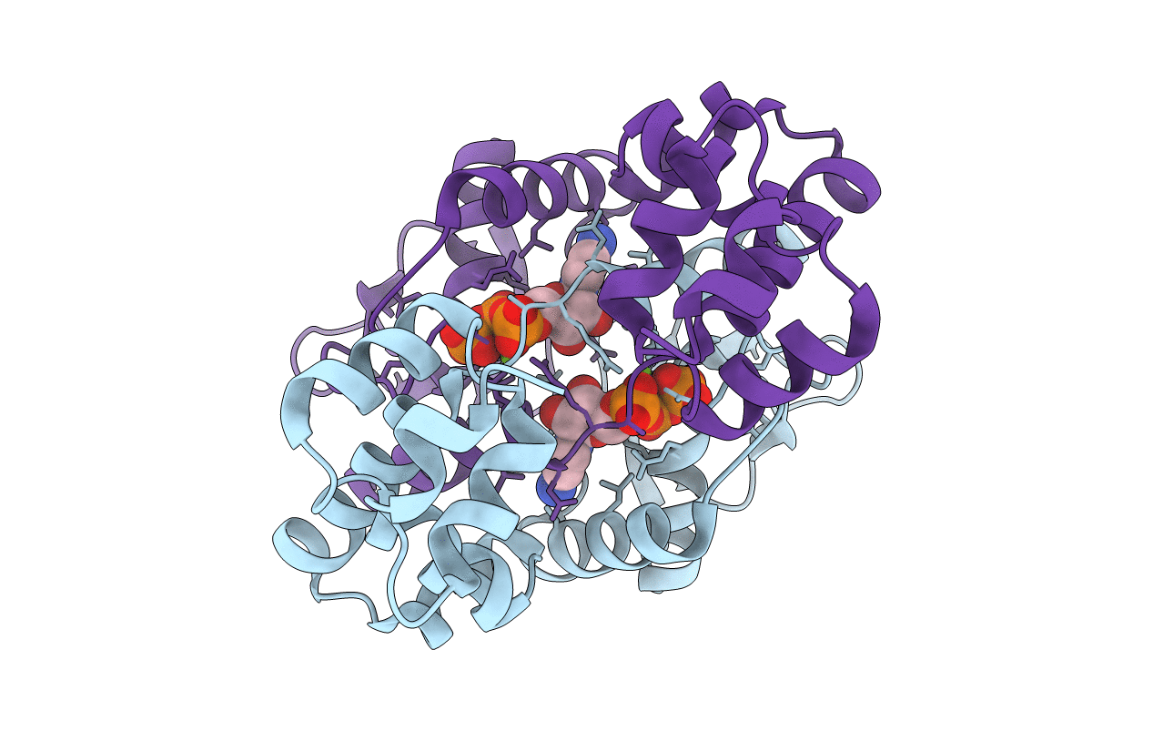 7BM8 image