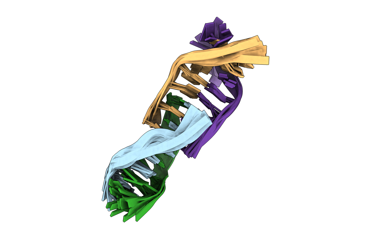 7BMA image