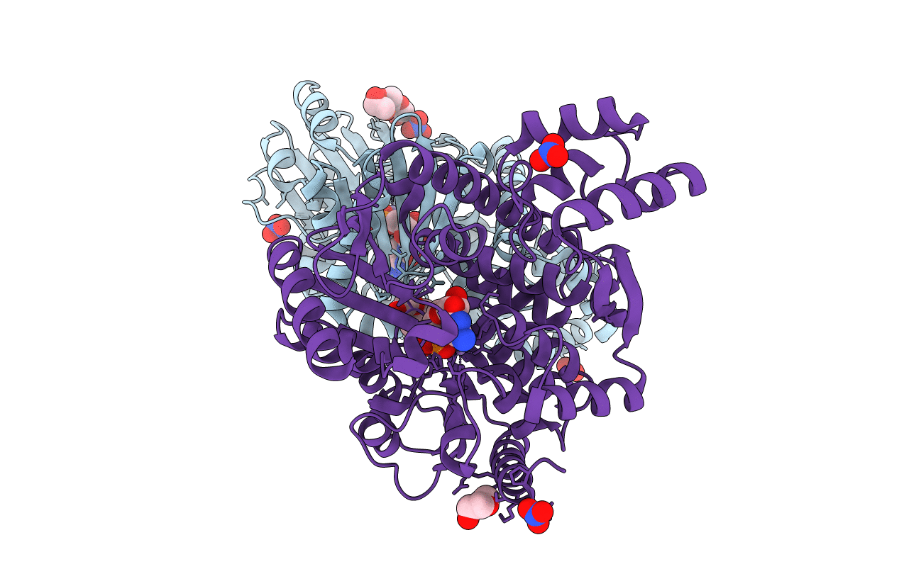 7BMF image