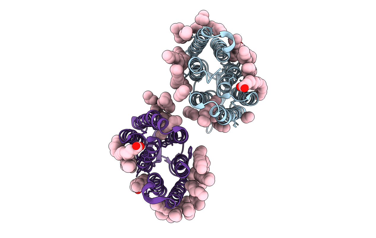 7BMH image
