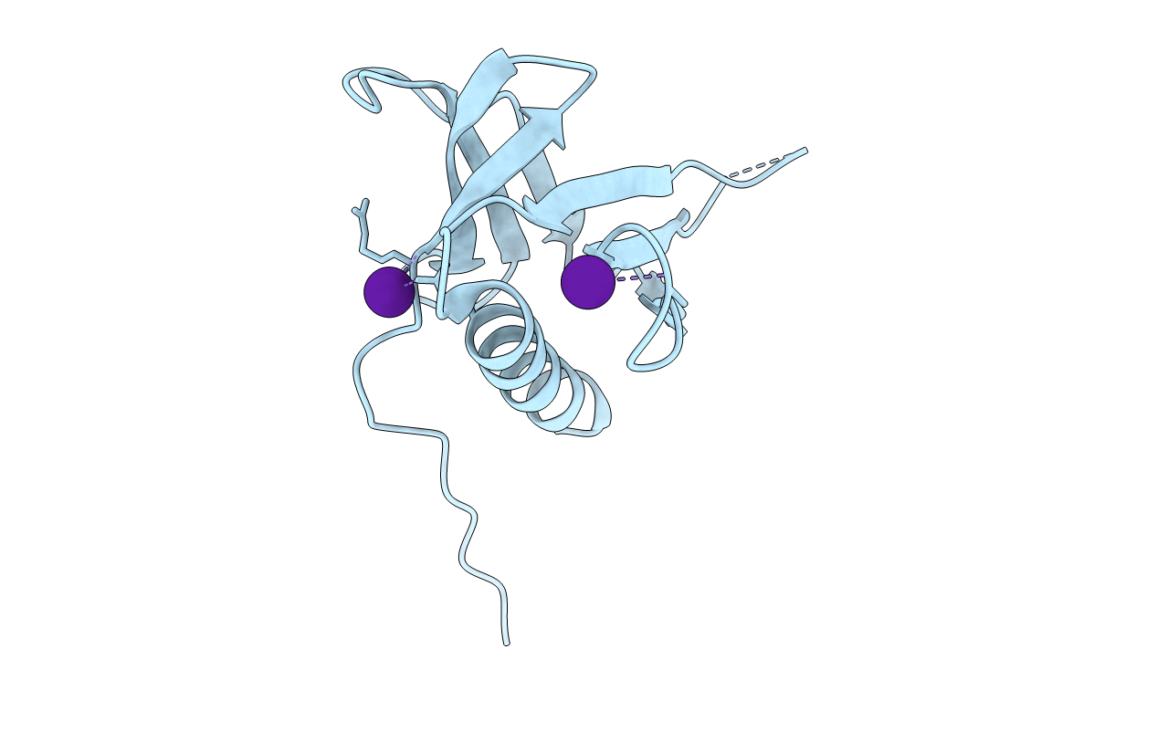 7BMV image
