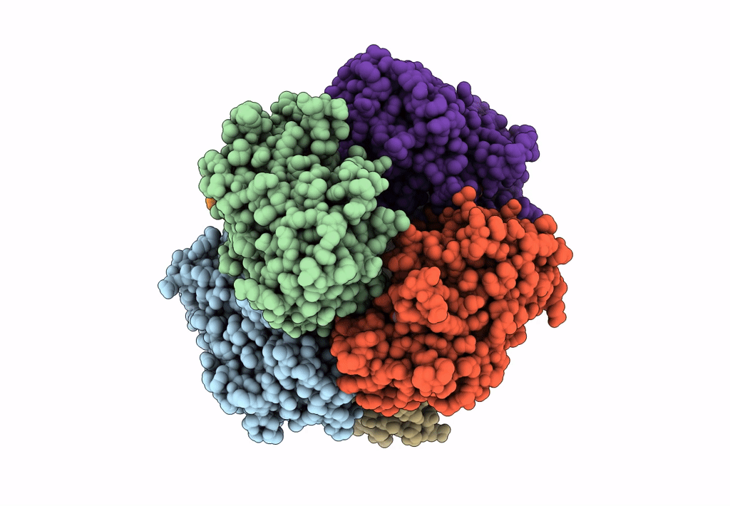 7BOK image