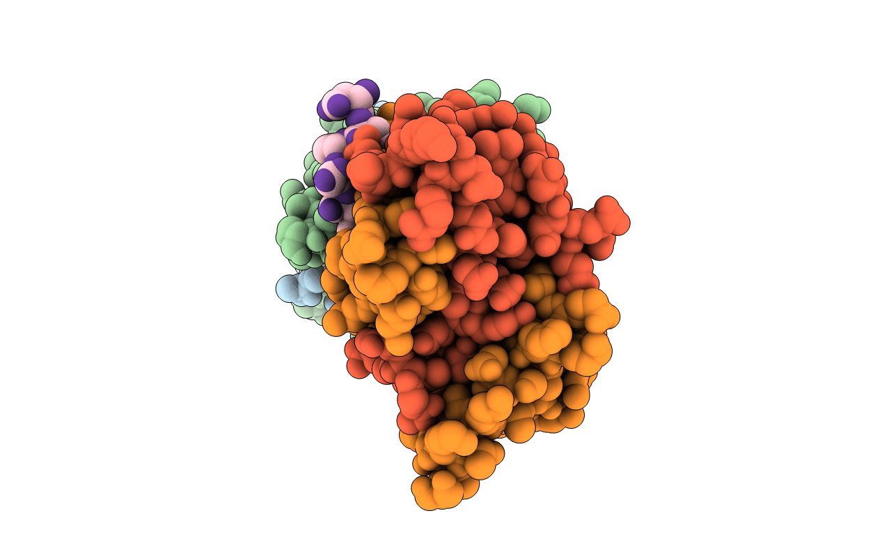 7BP4 image