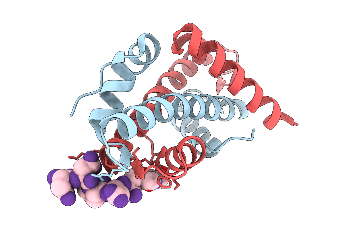 7BP5 image