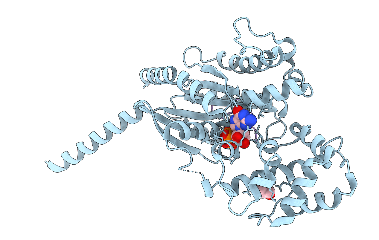 7BPH image