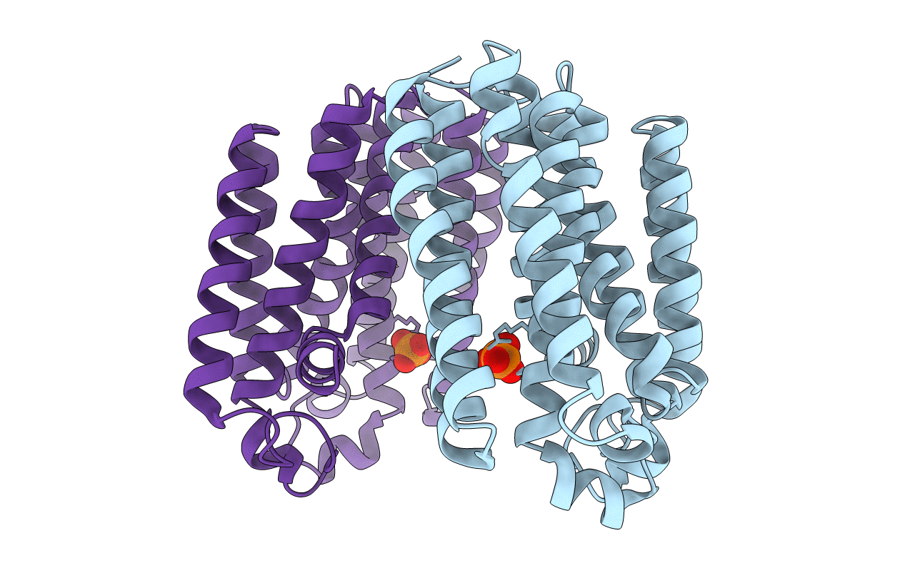 7BPU image