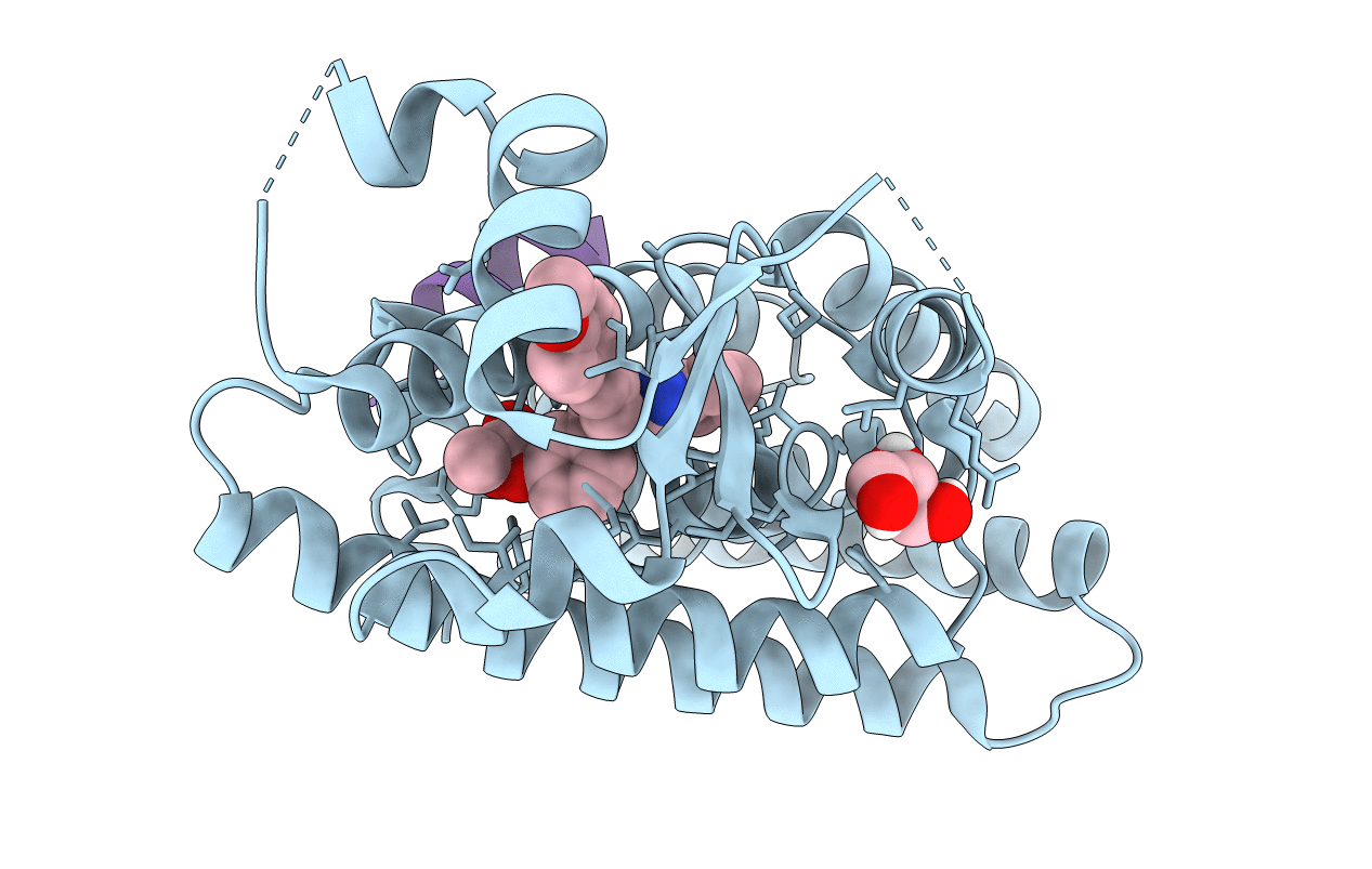7BQ2 image