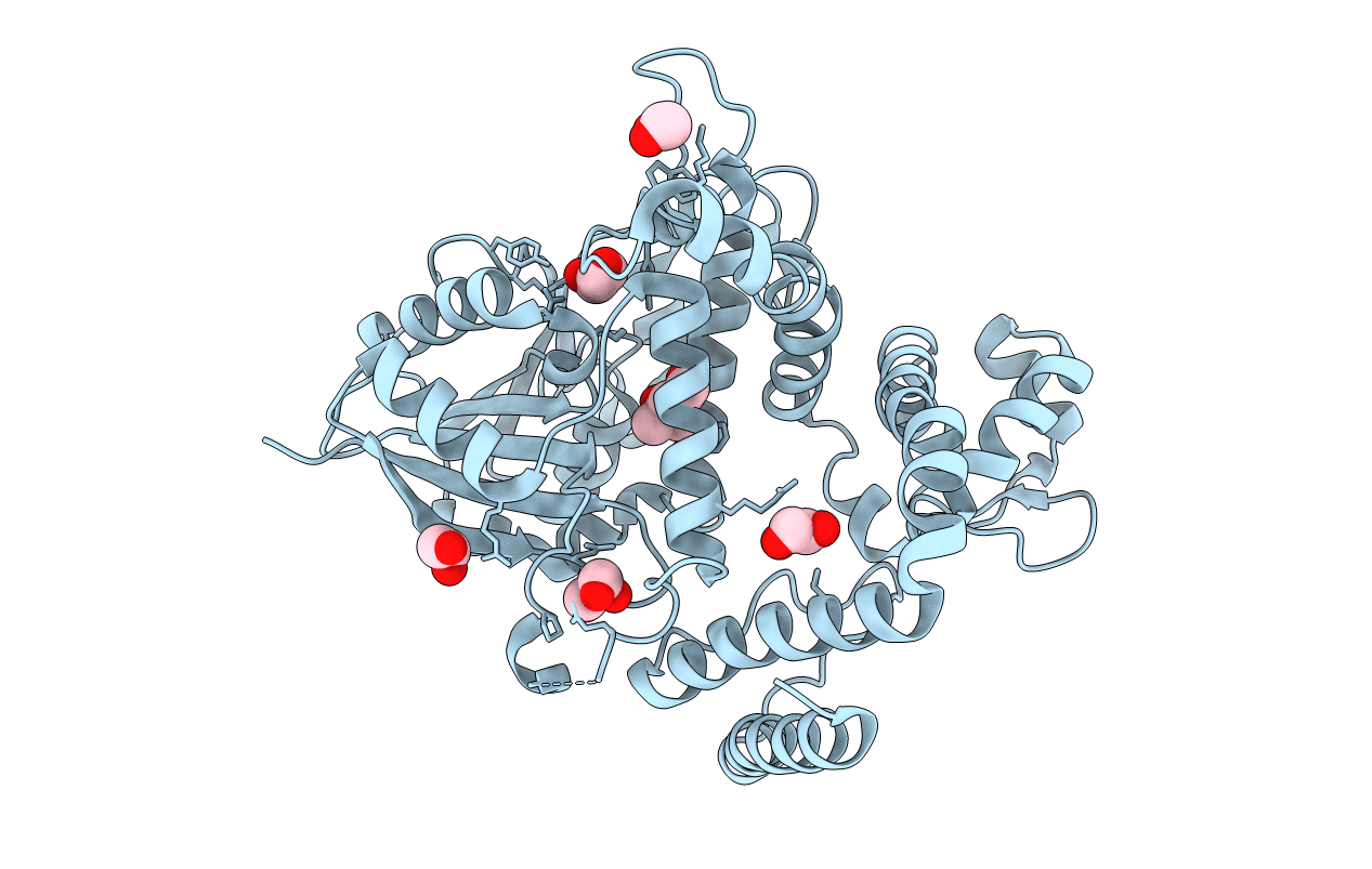 7BQP image