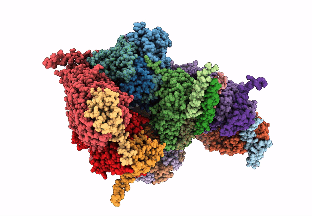 7BQX image
