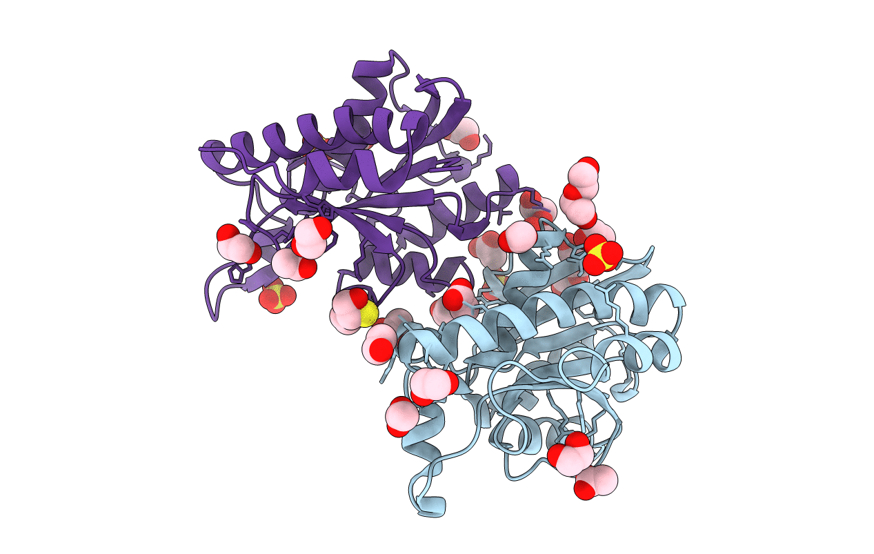7BRD image