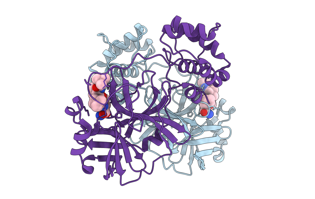 7BRP image