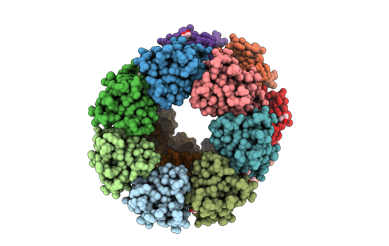 7BSB image