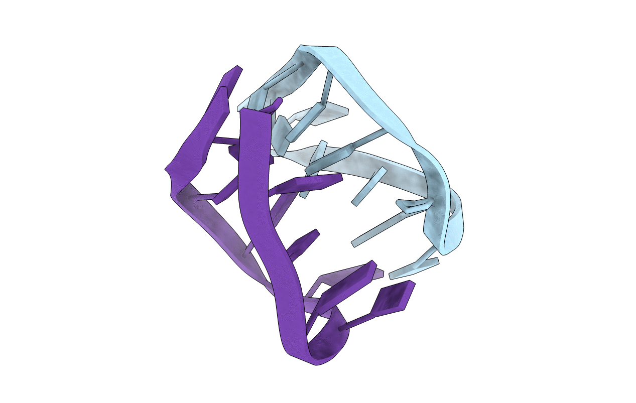 7BSG image