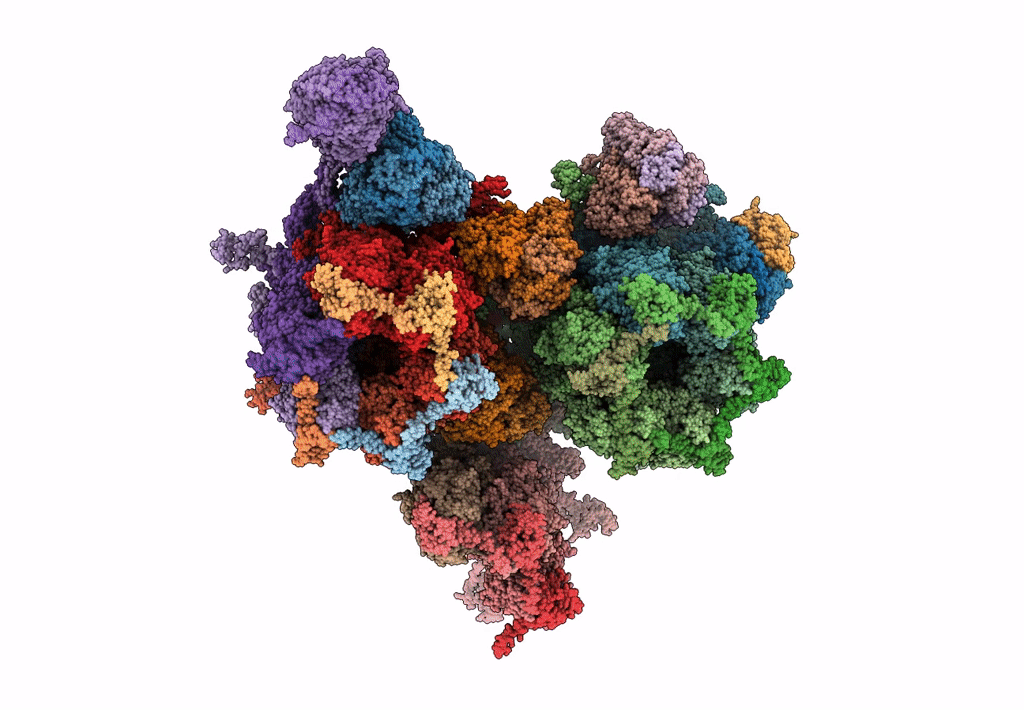 7BSI image