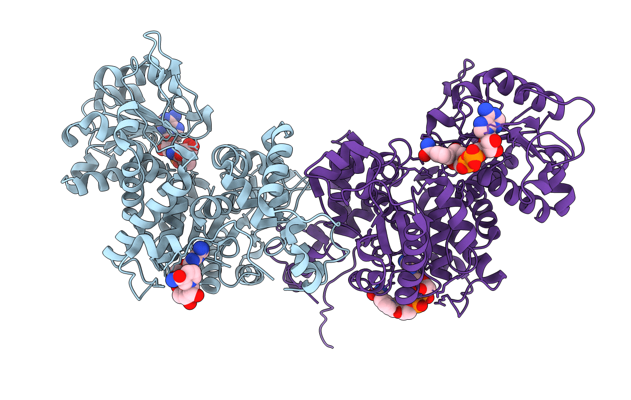 7BSK image