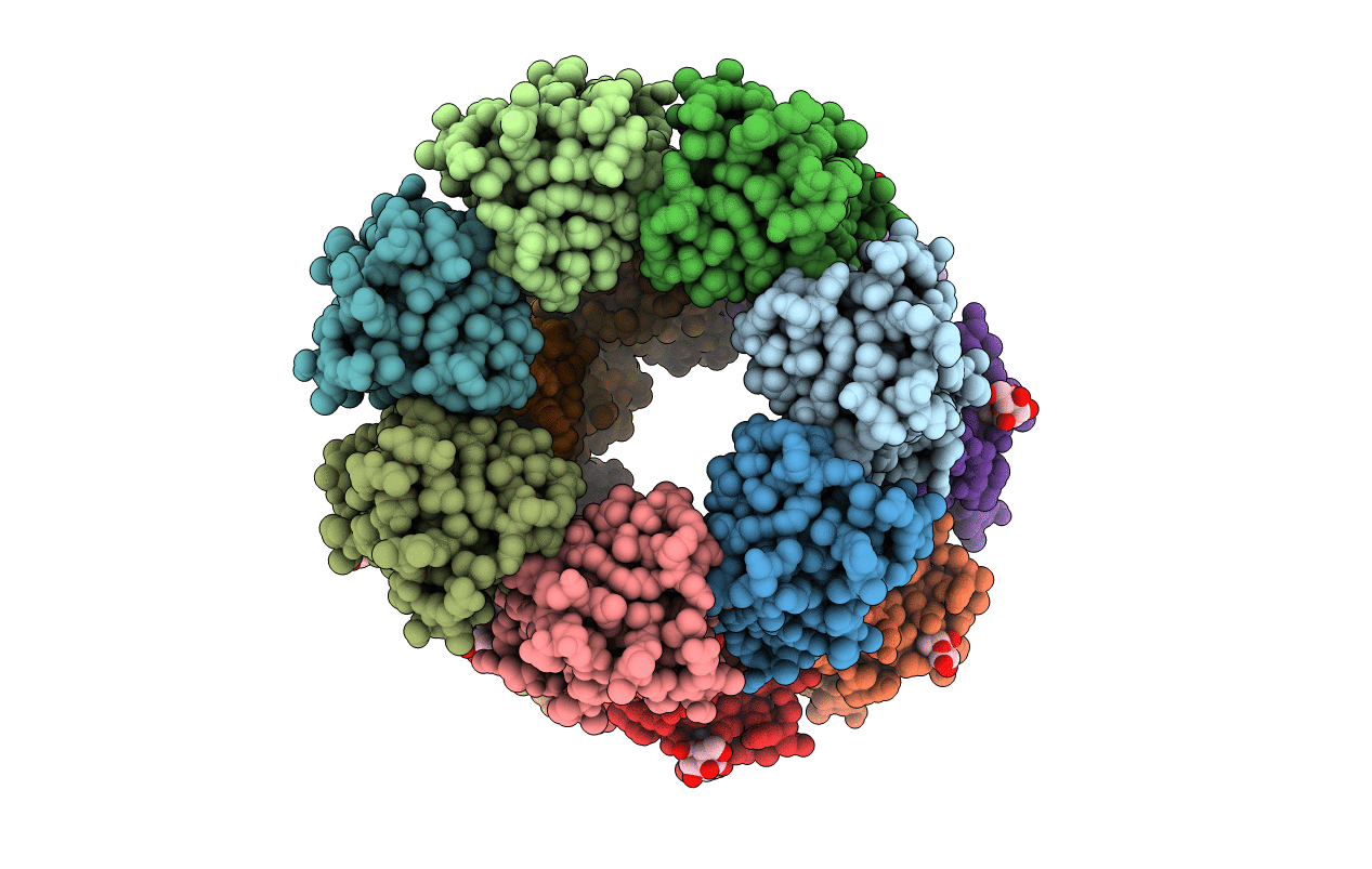 7BSM image
