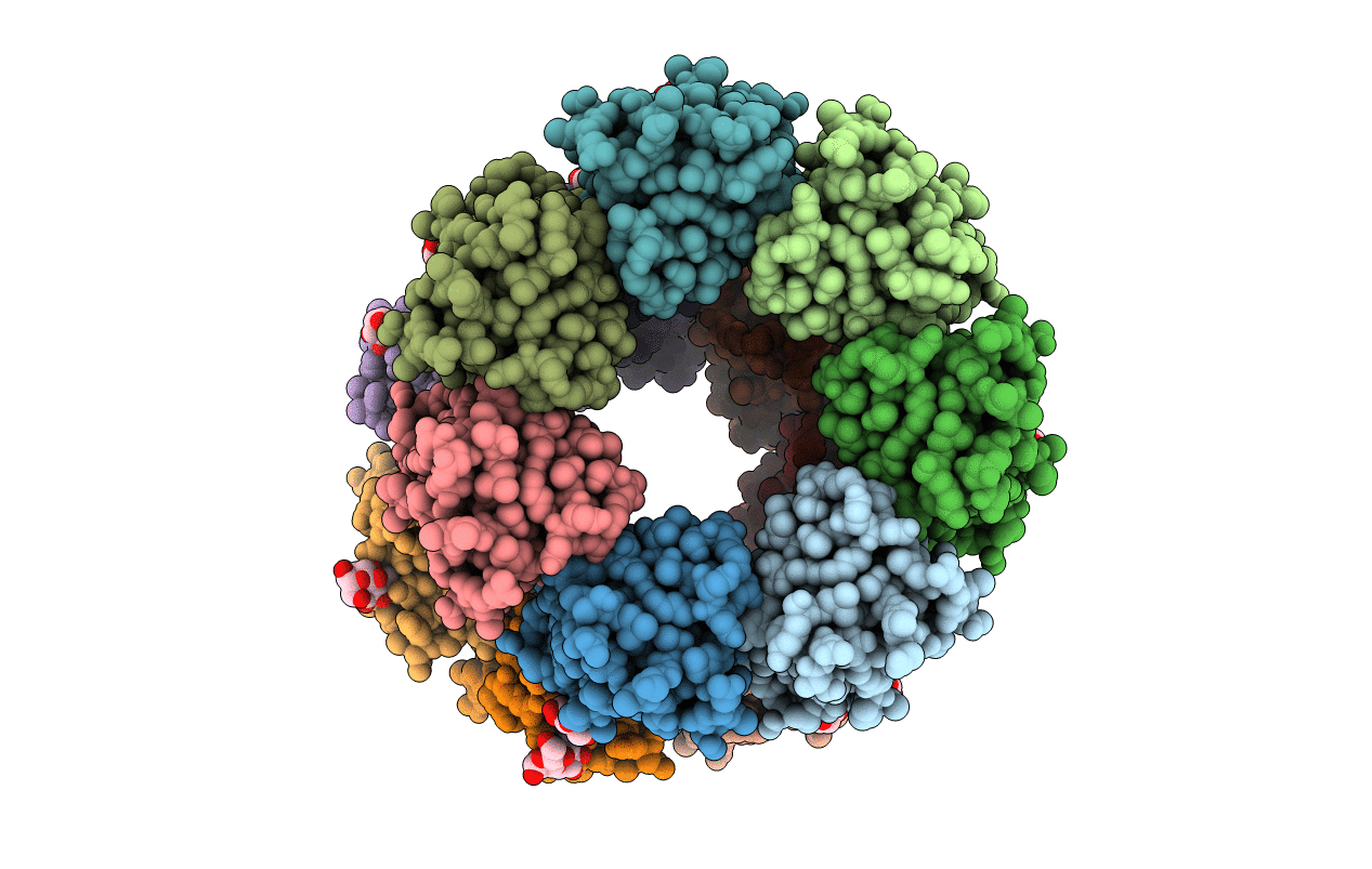 7BSN image