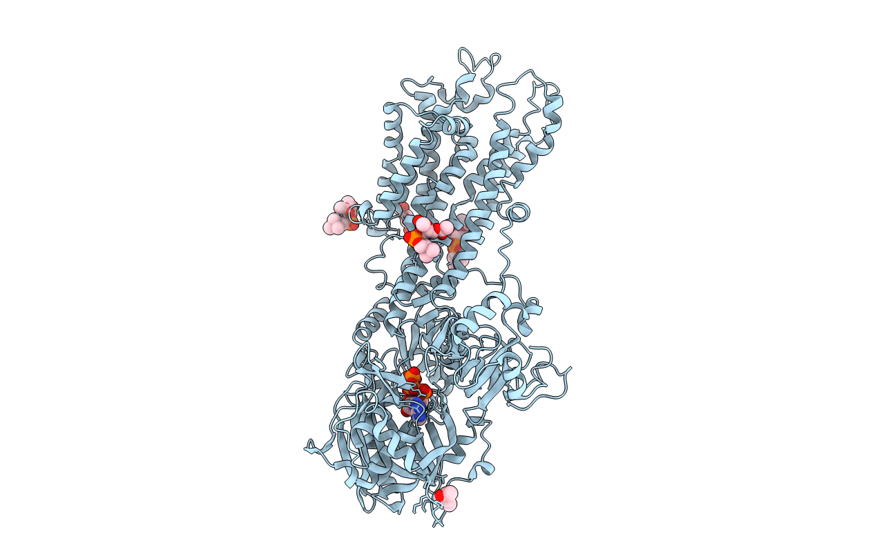 7BT2 image