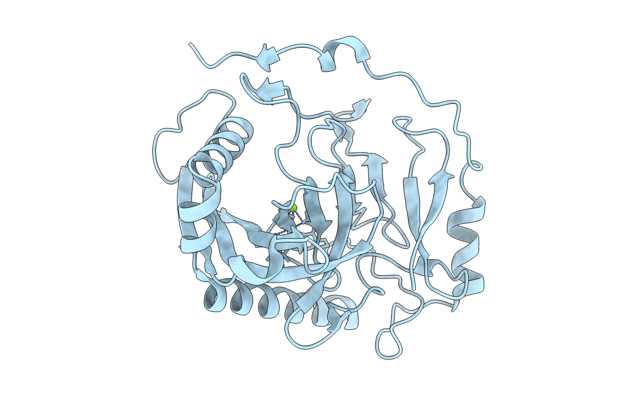 7BTN image