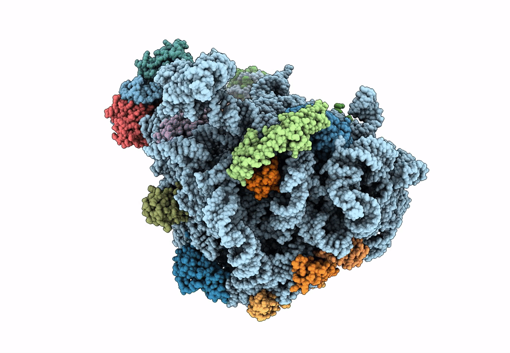 7BV8 image
