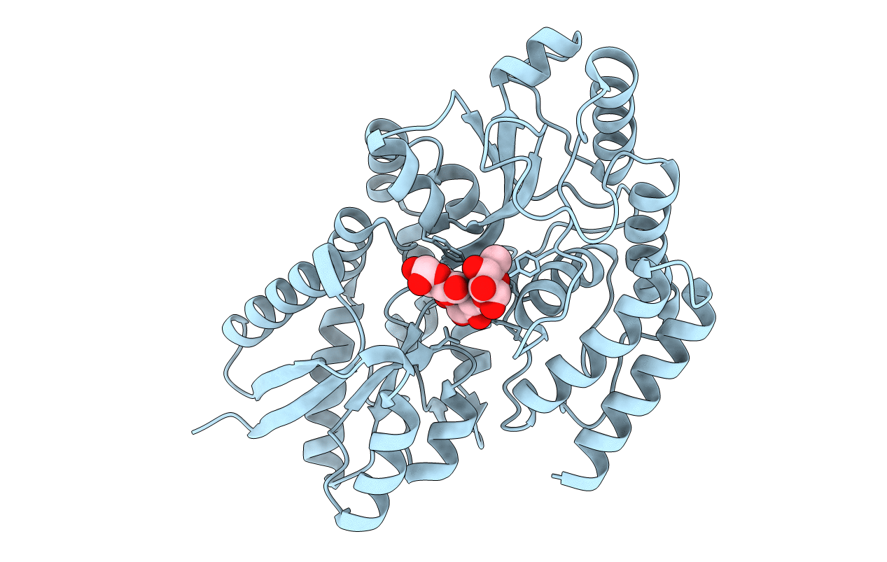 7BVT image