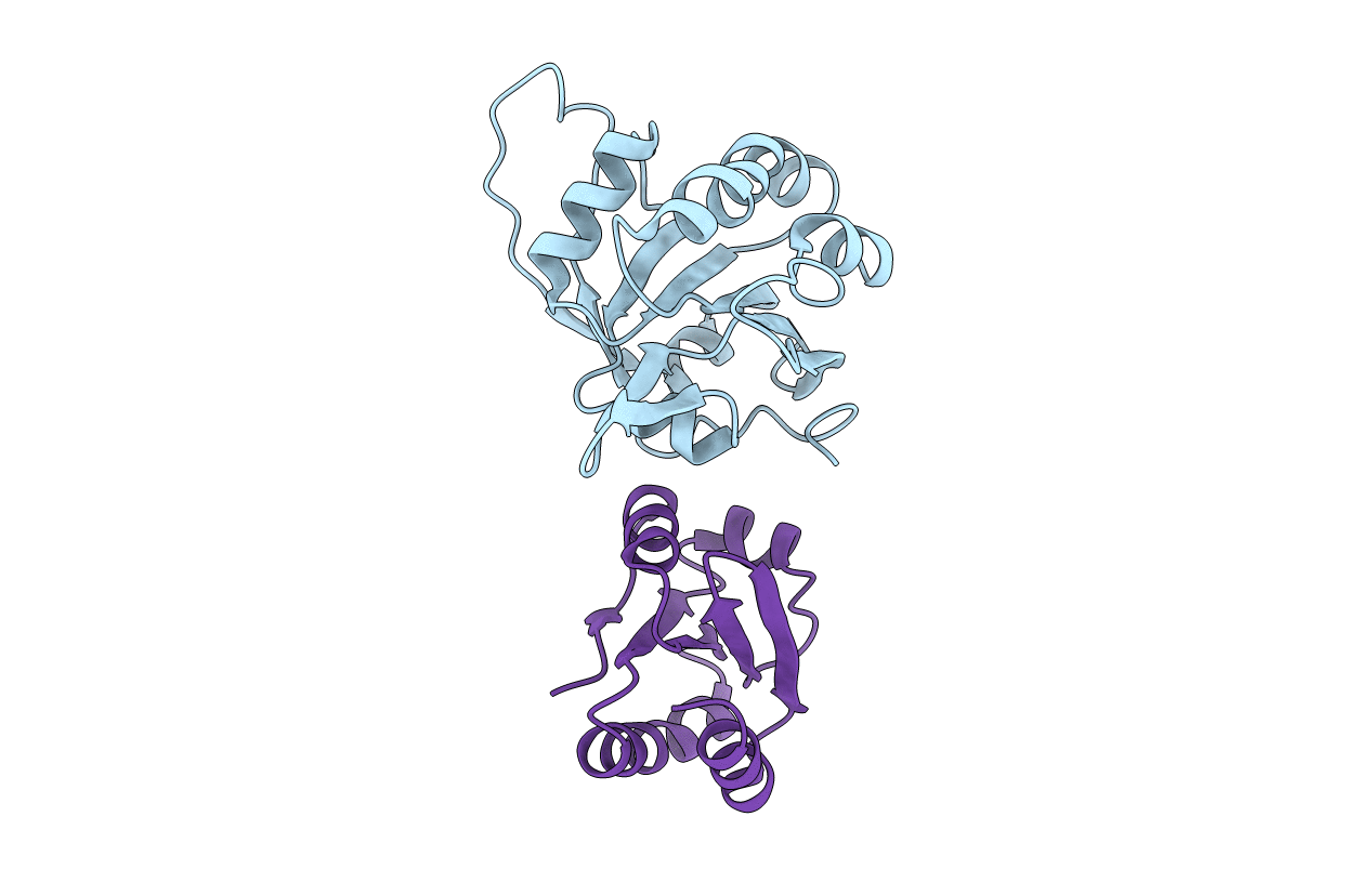 7BVV image