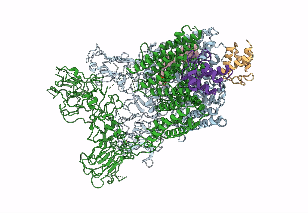 7BWR image