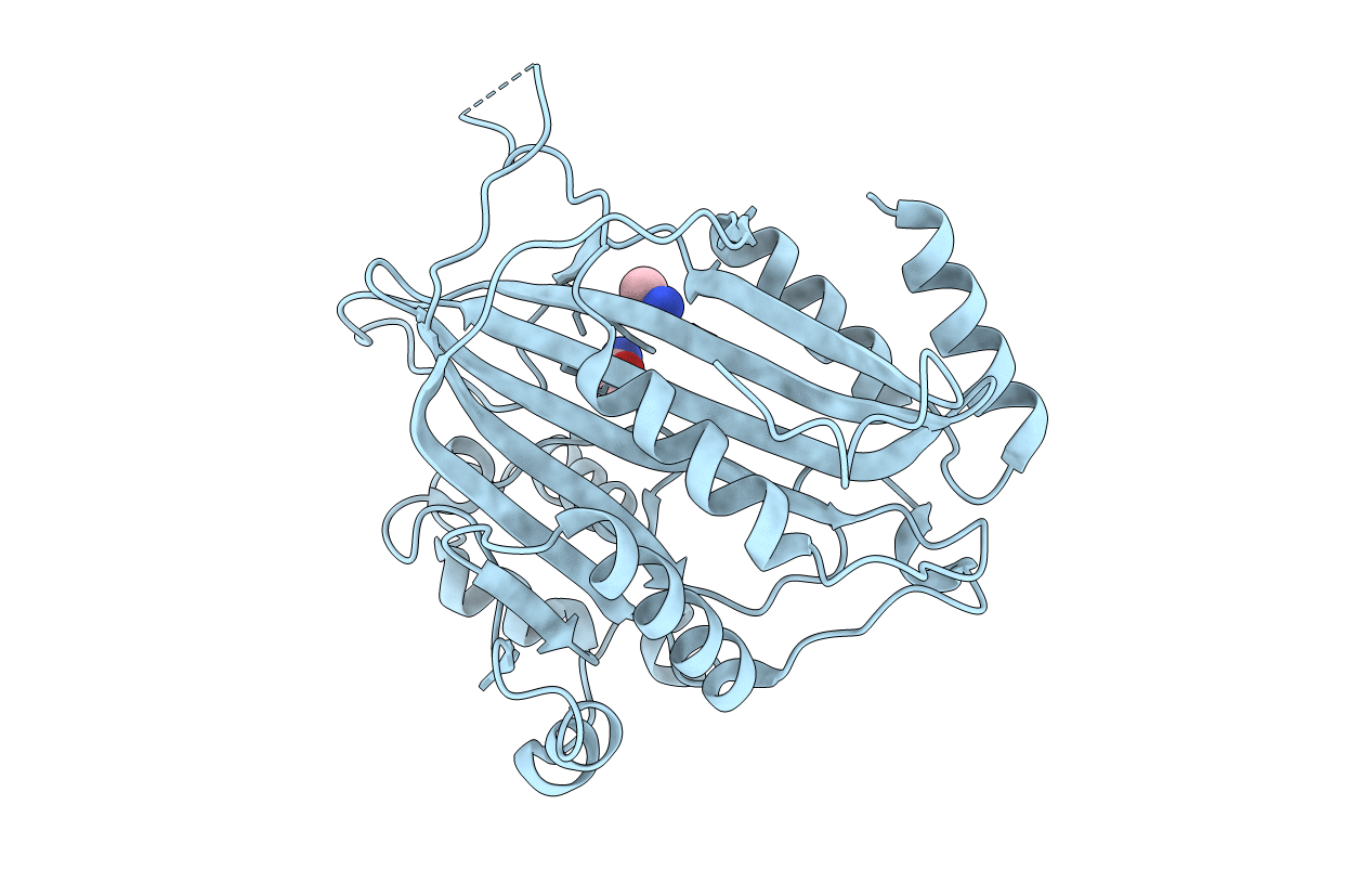 7BX1 image