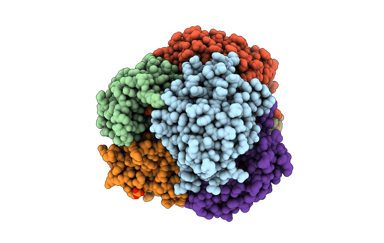 7BXB image