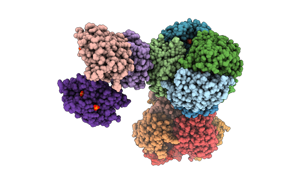 7BXC image