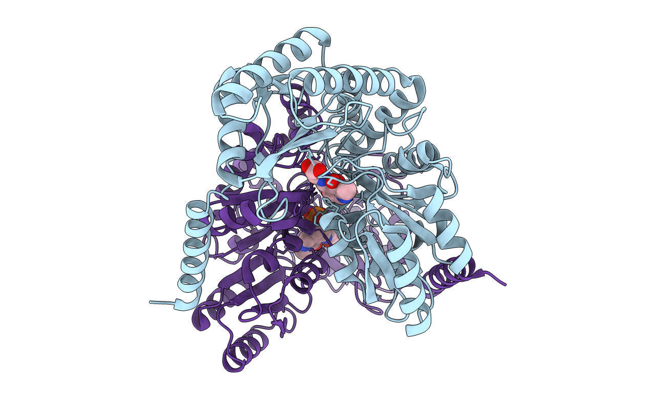 7BXS image