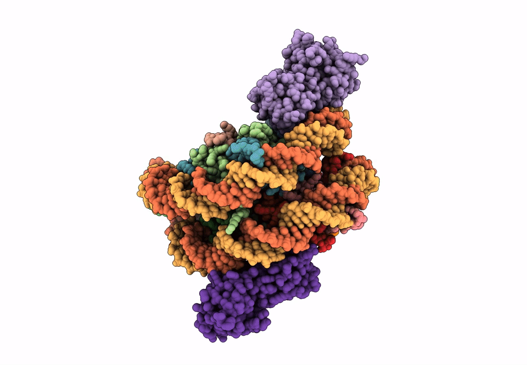 7BXT image