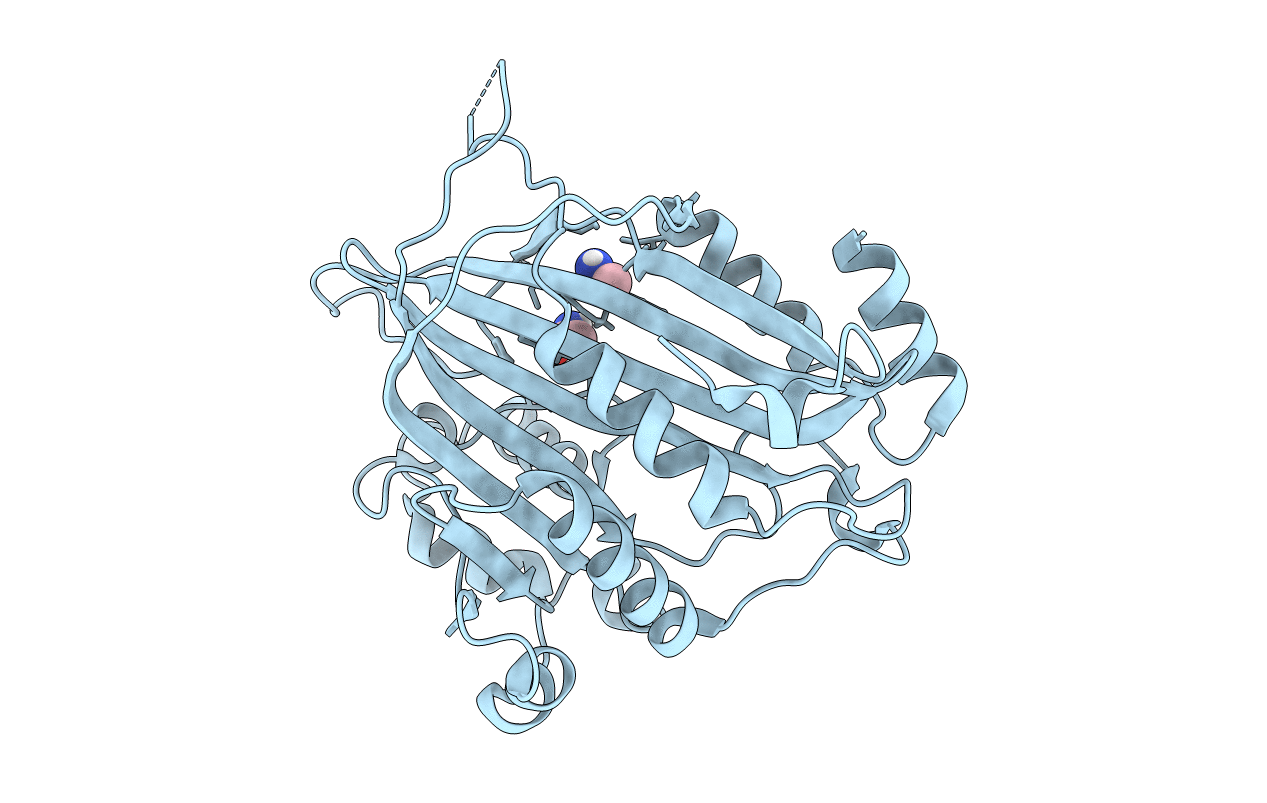 7BXW image