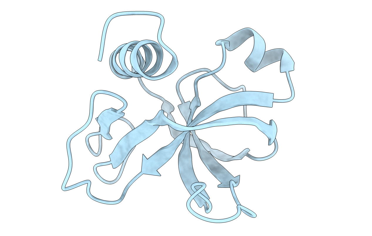 7BXY image