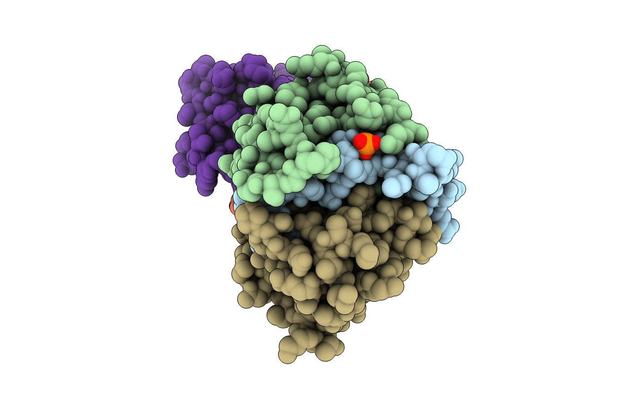 7BYE image