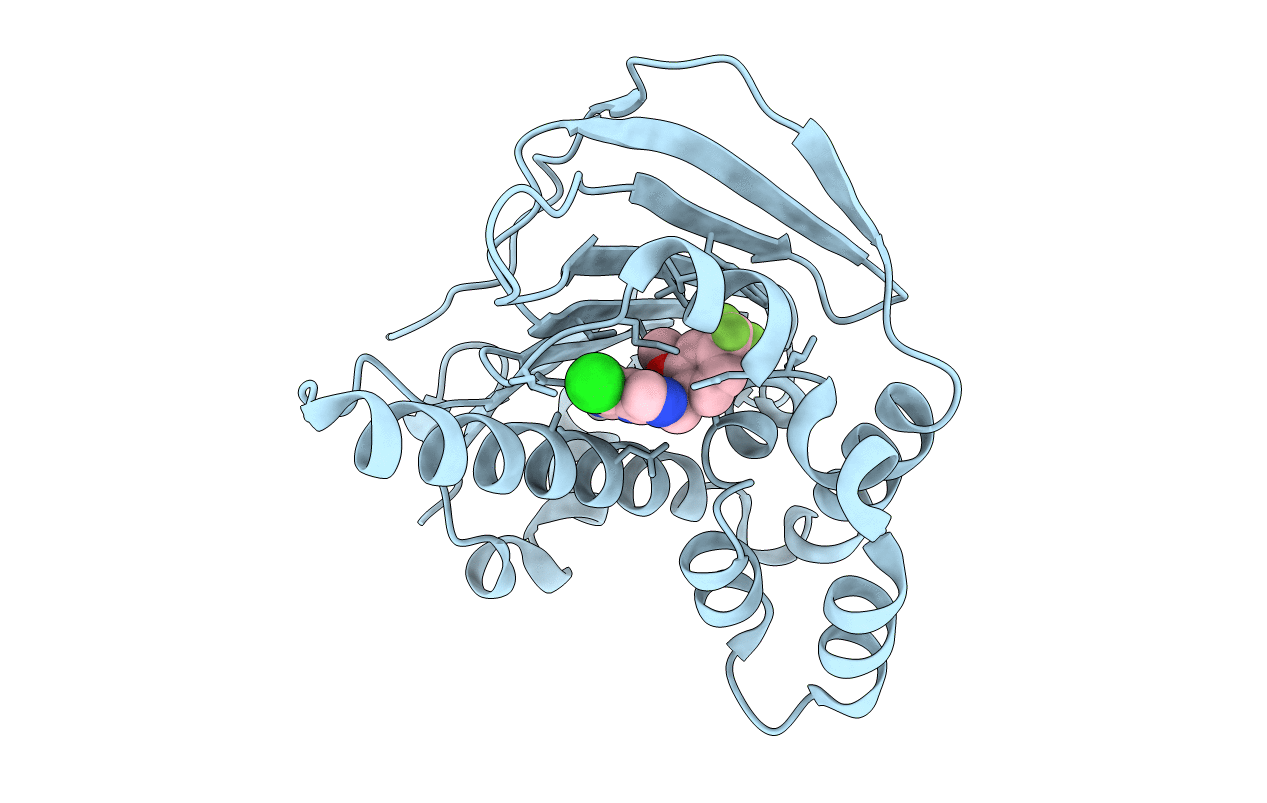 7C04 image