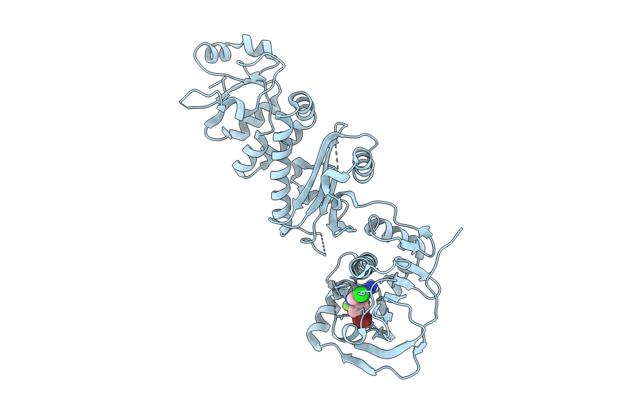 7C05 image