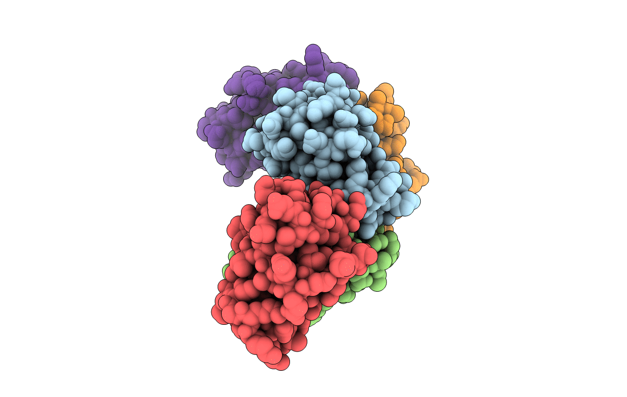 7C10 image