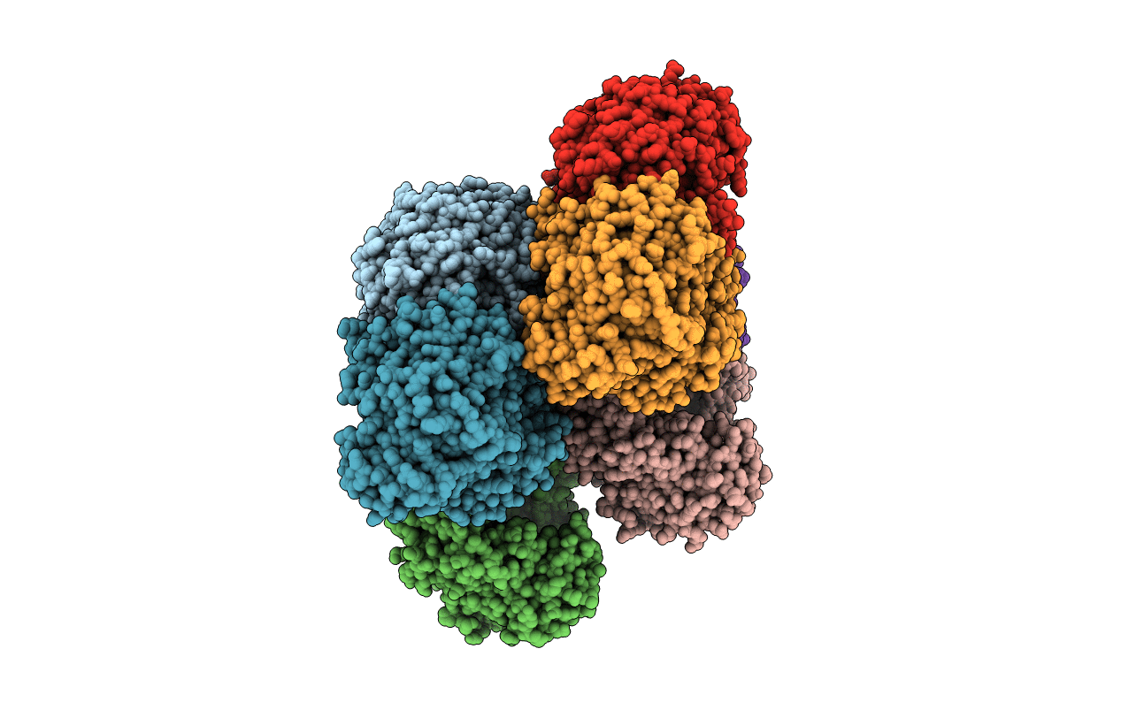 7C11 image